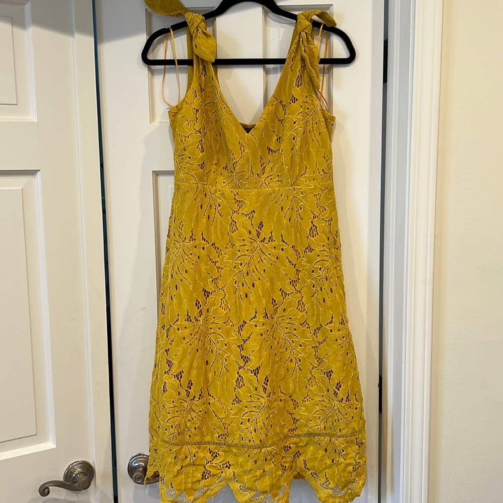 A Pea In The Pod Maternity Dress Lace with Liner Size Small